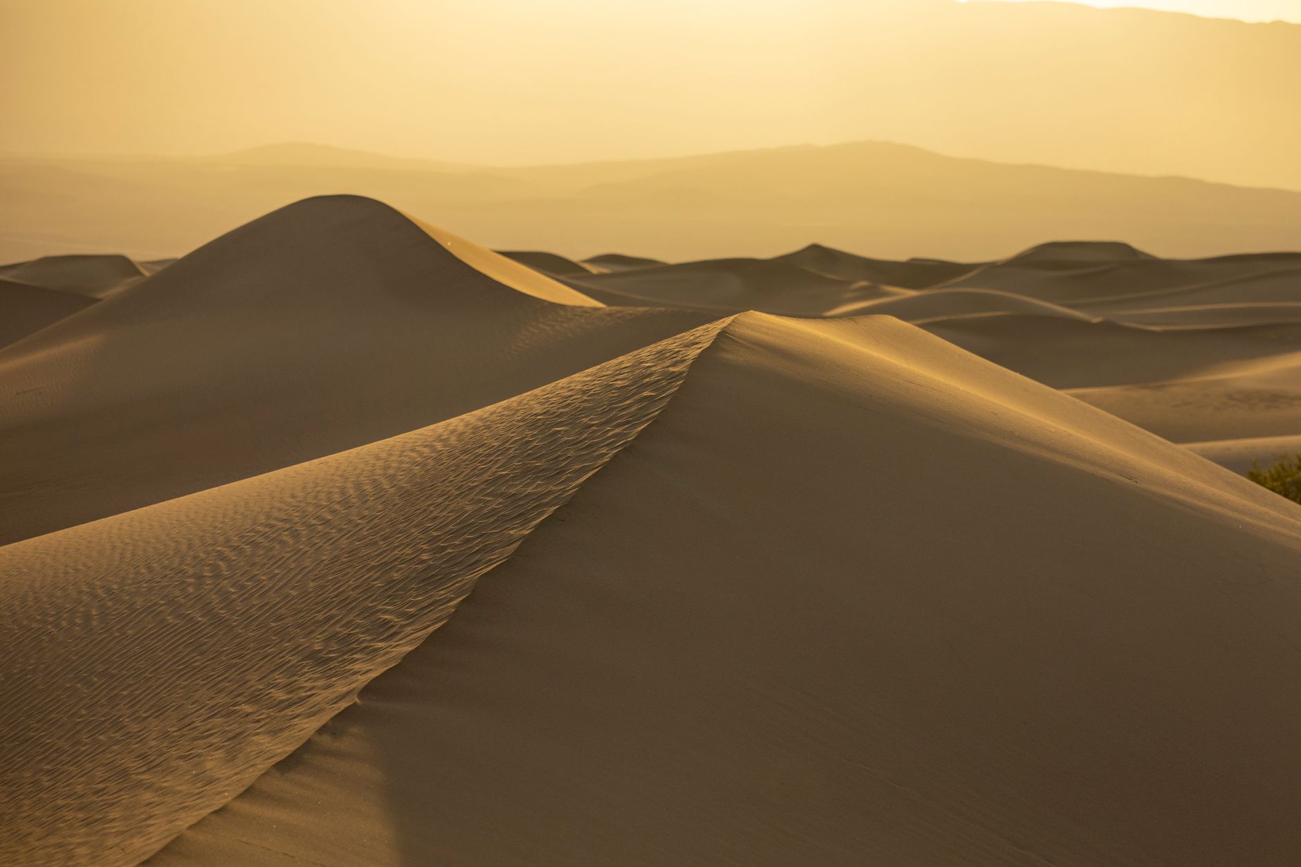 Sand dunes glowing under warm golden light at sunset