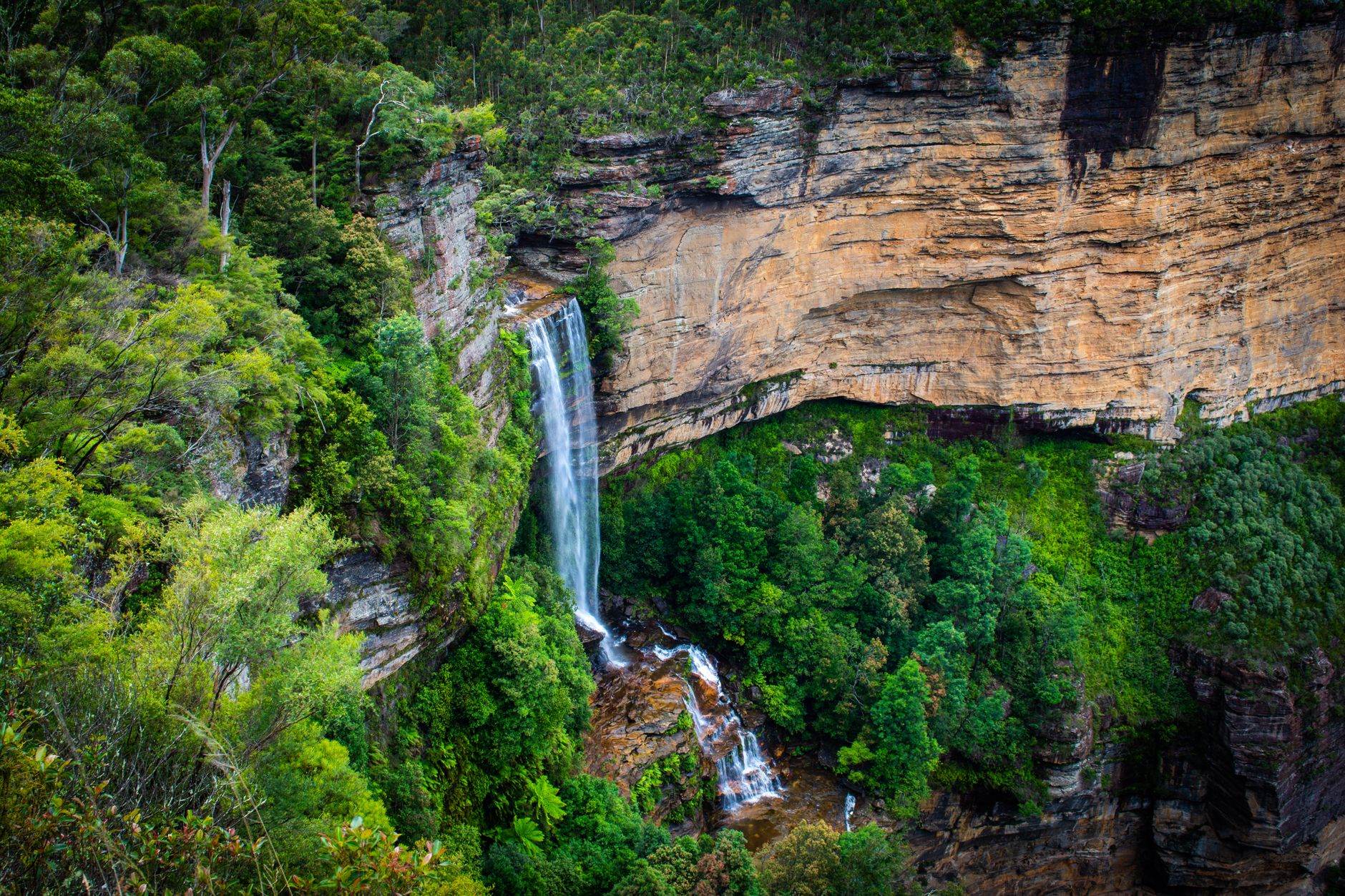 A waterfall cascading over sandstone cliffs in the lush Blue Mountains
